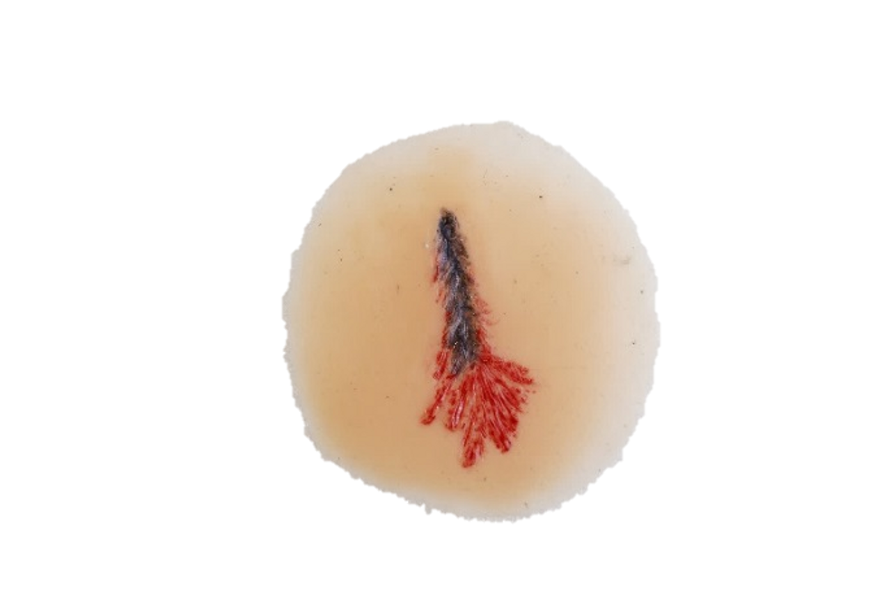 The Anatomy Lab-A-112998 CBRN Injury Moulage Kit, 1/set