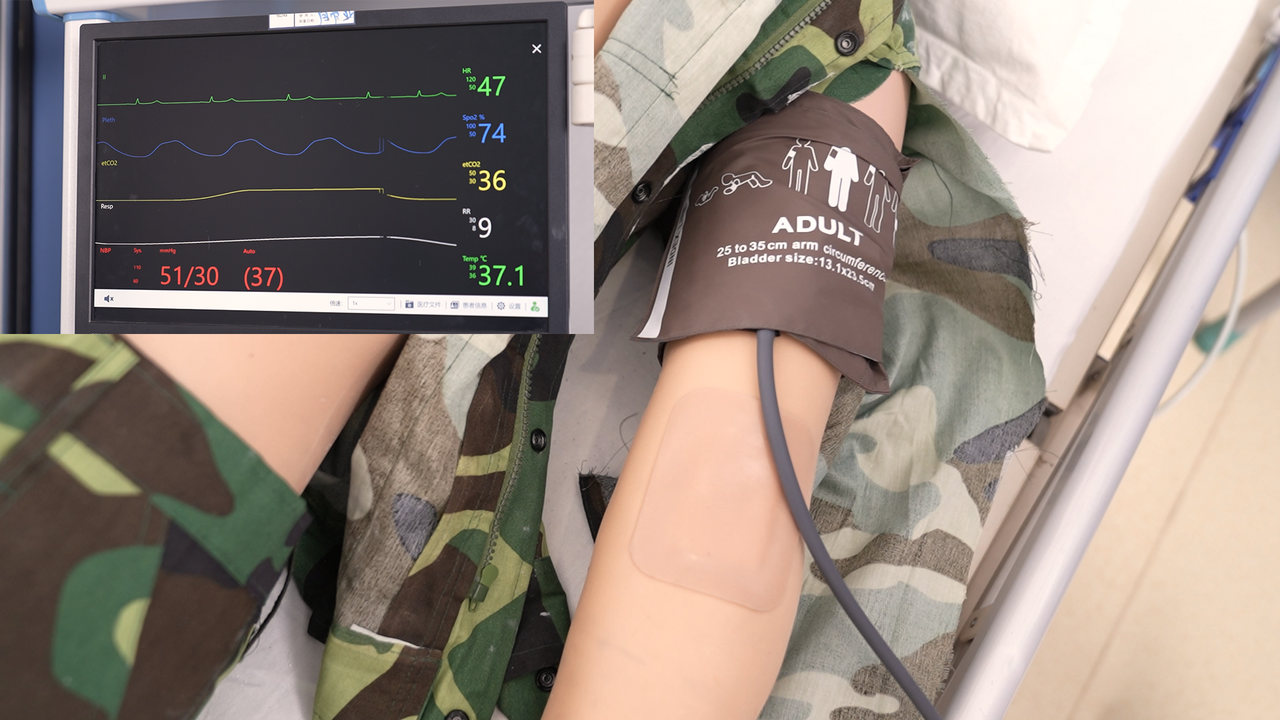 The Anatomy Lab-A-113015 Complete Clinical Skills Training Manikin, 1/EA