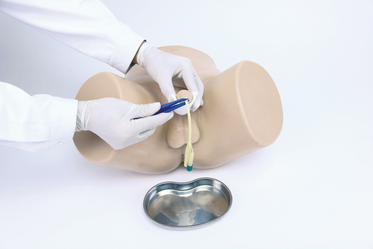 The Anatomy Lab-A-104421 Male Catheterization Model