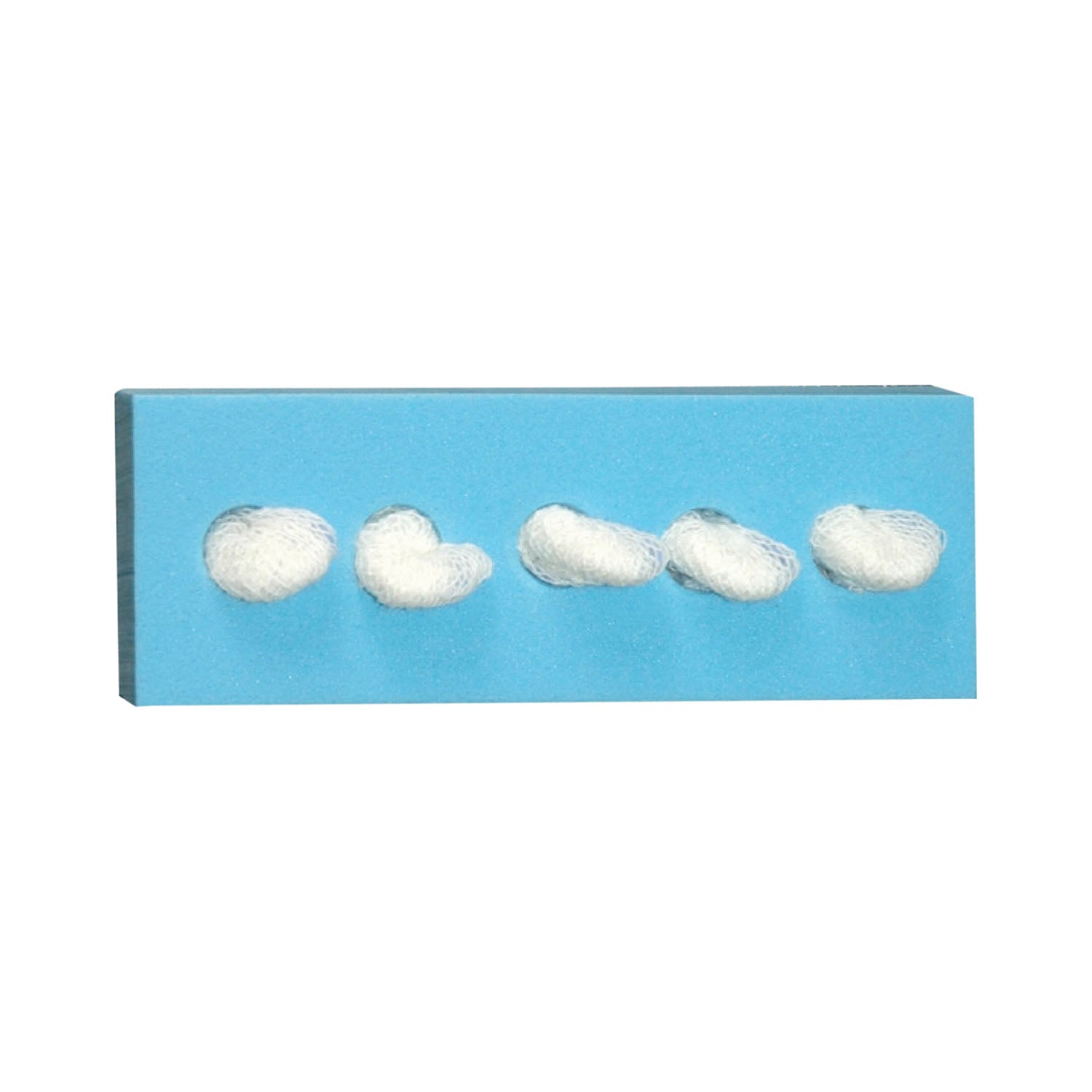 Dukal Corporation Cherry Sponge with C-5® Holder