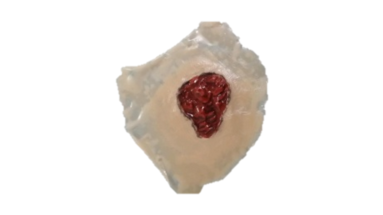 The Anatomy Lab-A-112998 CBRN Injury Moulage Kit, 1/set