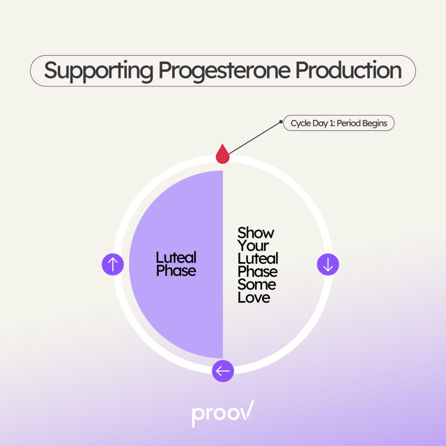 Collect-MFB-03-30 Pro Implantation Supplement Support