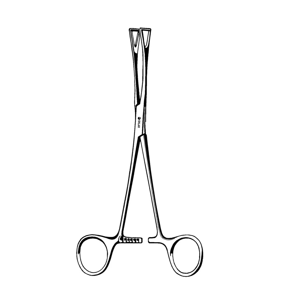 Sklar-36-2577 Duval Lung Forceps, 1/ea