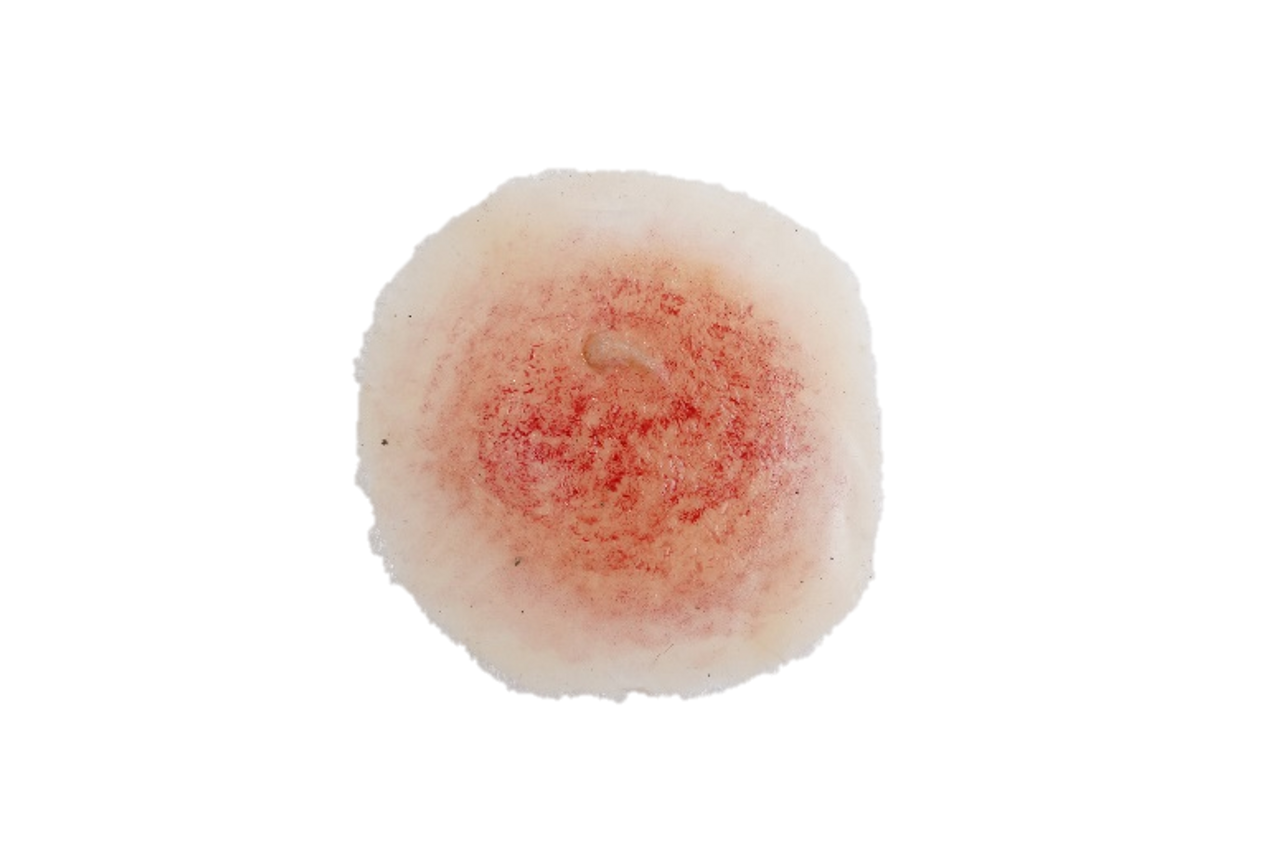 The Anatomy Lab-A-112998 CBRN Injury Moulage Kit, 1/set