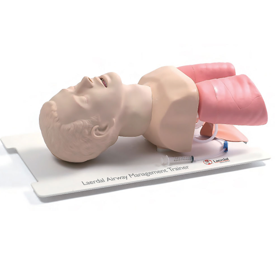 LAERDAL-25000033 Airway Management Trainer