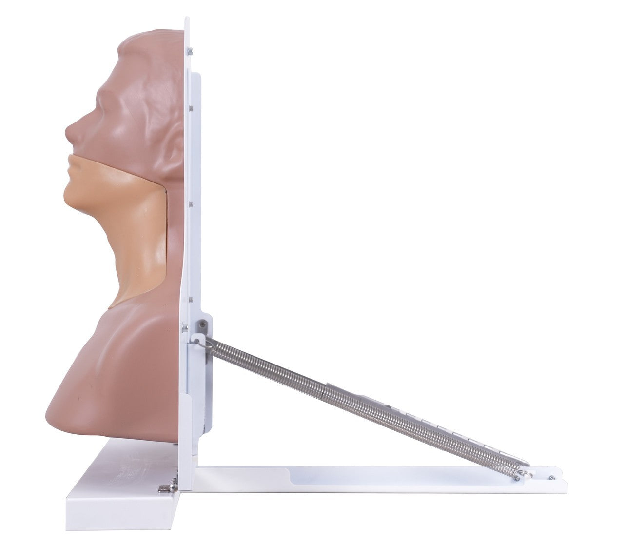 The Anatomy Lab-A-113033 Thyroid Ultrasound Training Model, 1/ea