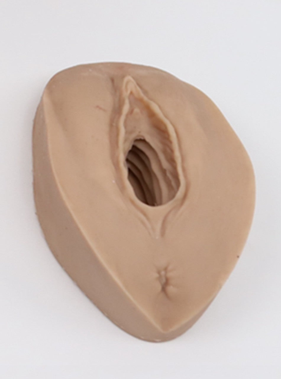 The Anatomy Lab-A-113030 Episiotomy & Suturing Surgical Model, 1/ea