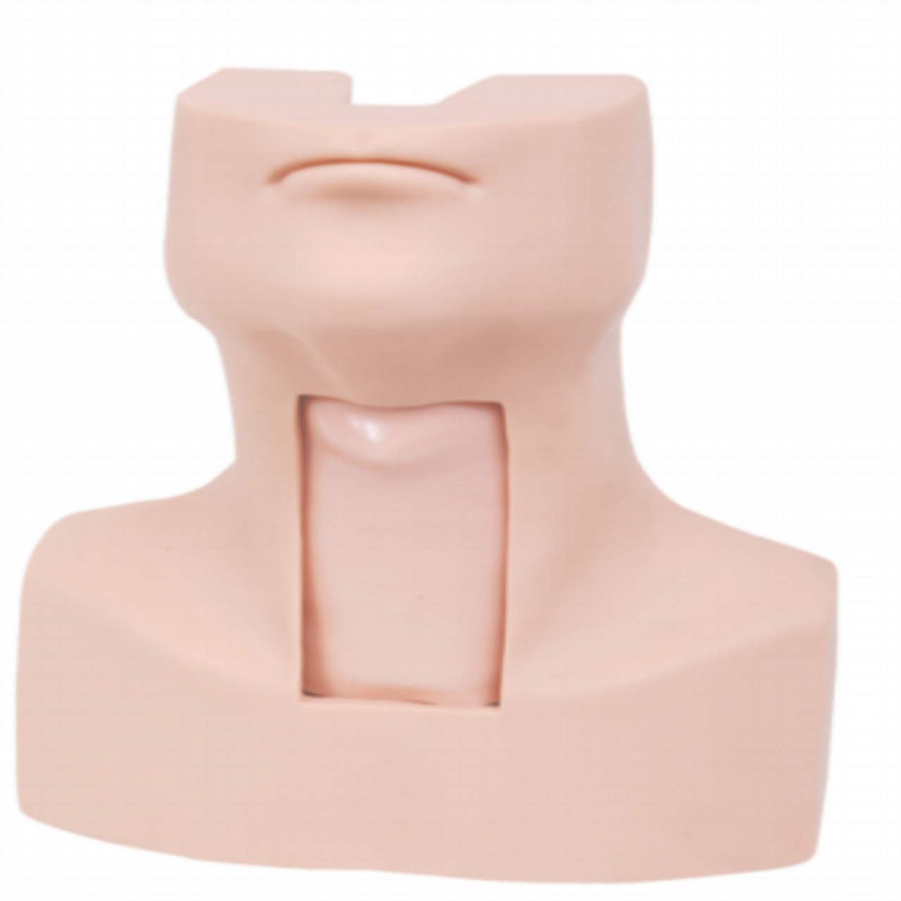 The Anatomy Lab-A-113010 Advanced Thyrocricocentesis Tracheostomy Simulator, 1/EA