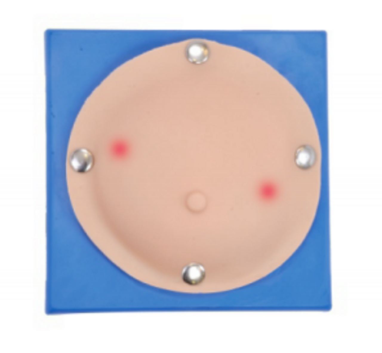 The Anatomy Lab-A-113027 Breast Abscess Inspection and Puncture Model, 1/ea