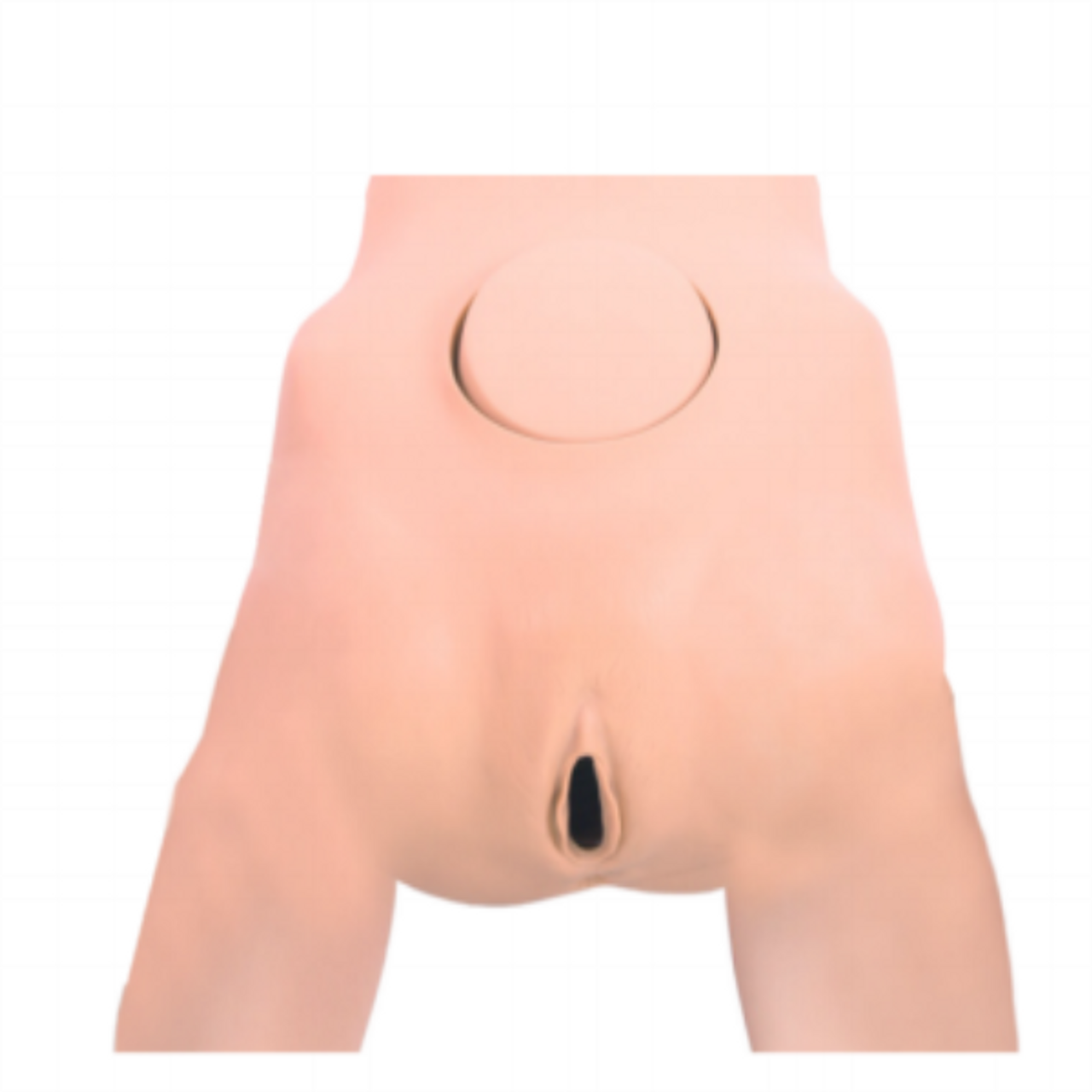 The Anatomy Lab-A-113031 Pelvic Measurement Model, 1/ea