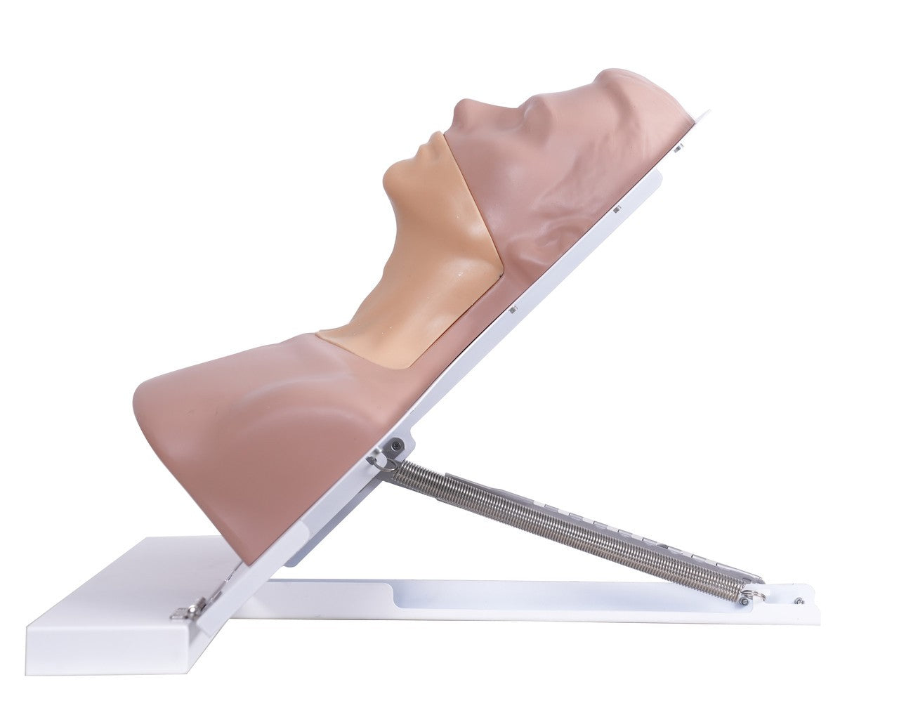 The Anatomy Lab-A-113033 Thyroid Ultrasound Training Model, 1/ea