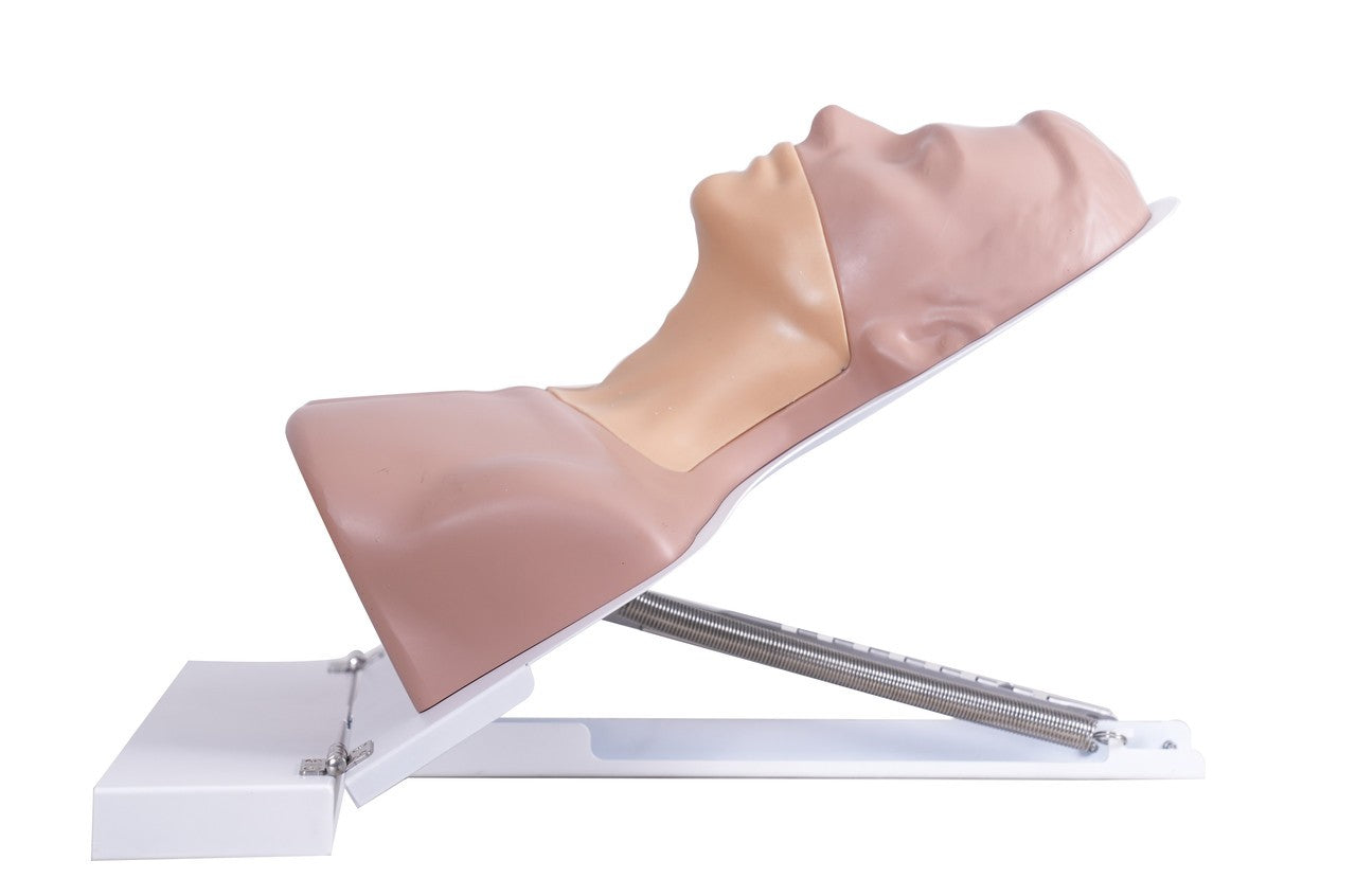 The Anatomy Lab-A-113033 Thyroid Ultrasound Training Model, 1/ea