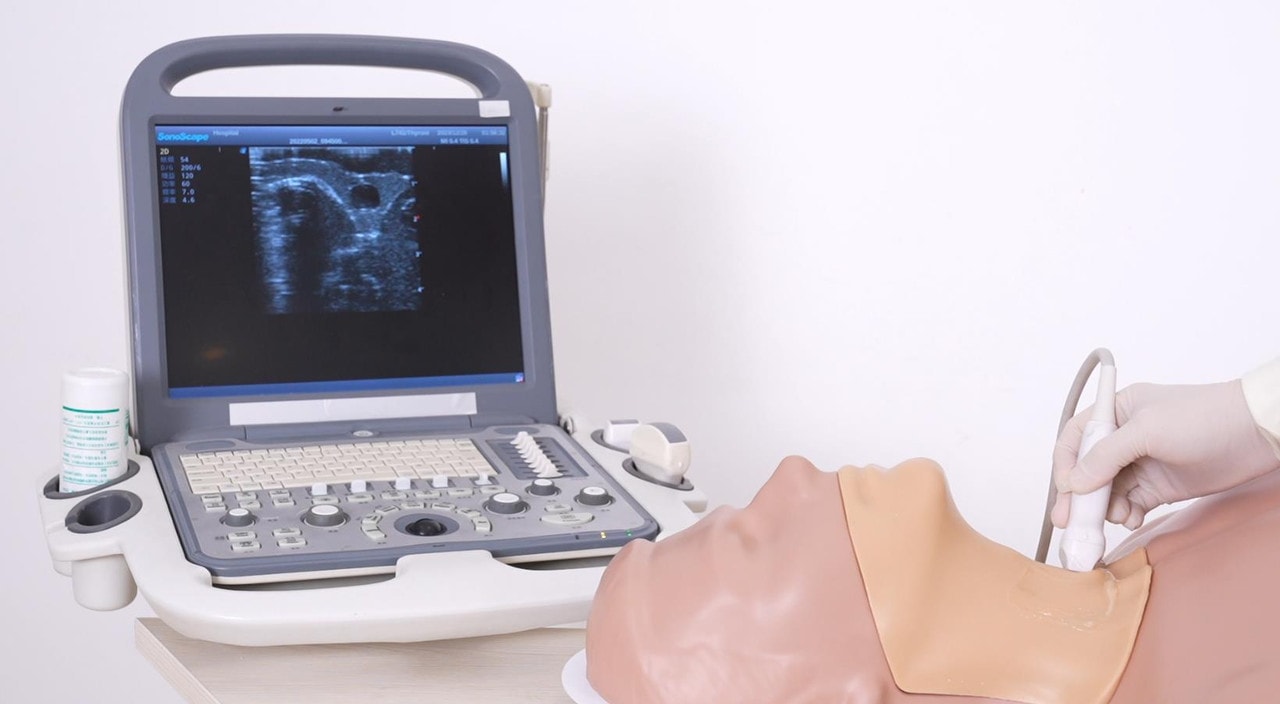 The Anatomy Lab-A-113033 Thyroid Ultrasound Training Model, 1/ea