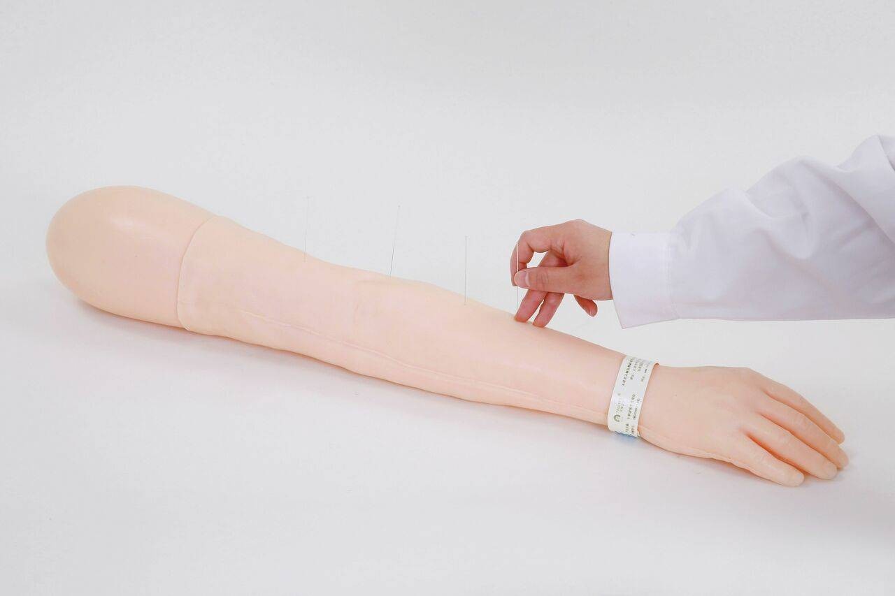 The Anatomy Lab-A-106823 Acupuncture Training Arm, 1/ea