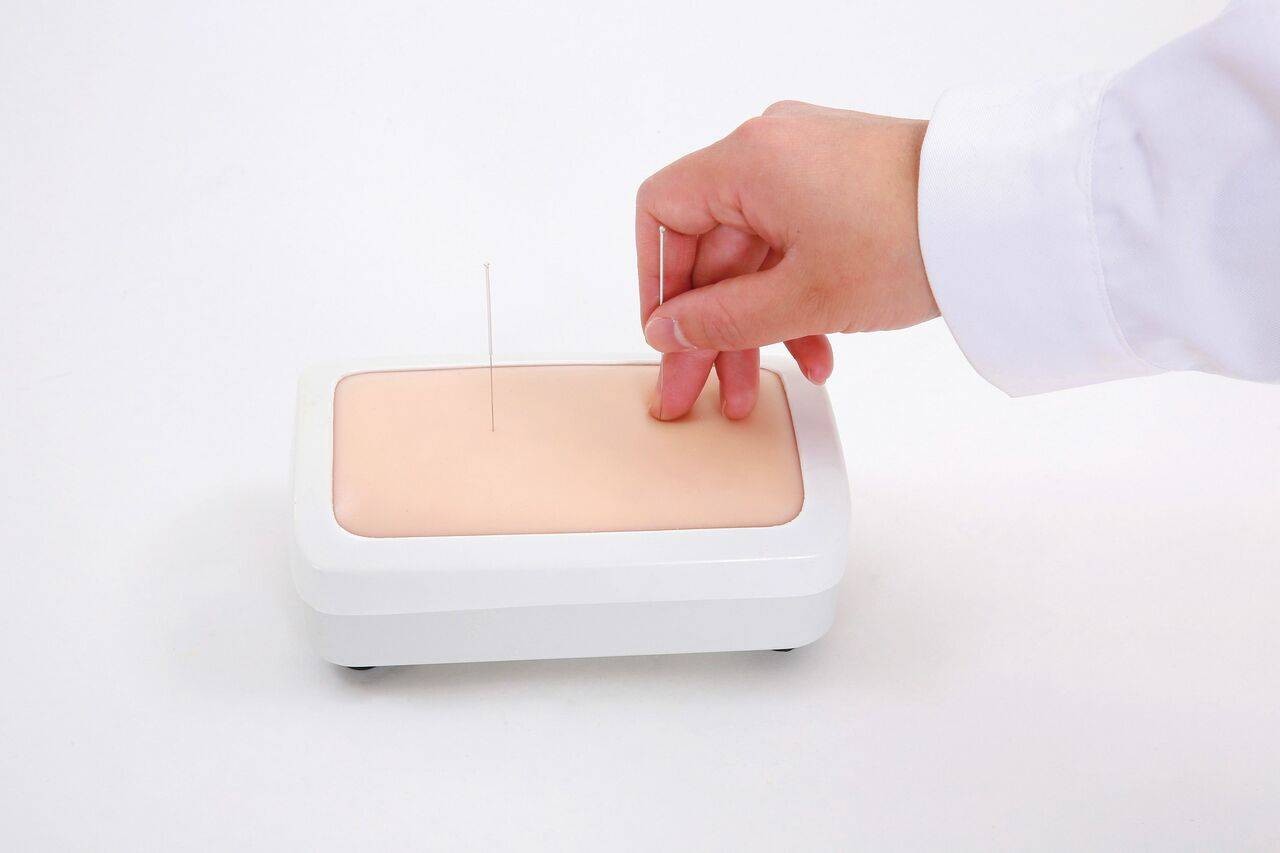 The Anatomy Lab-A-106825 Acupuncture Training Model