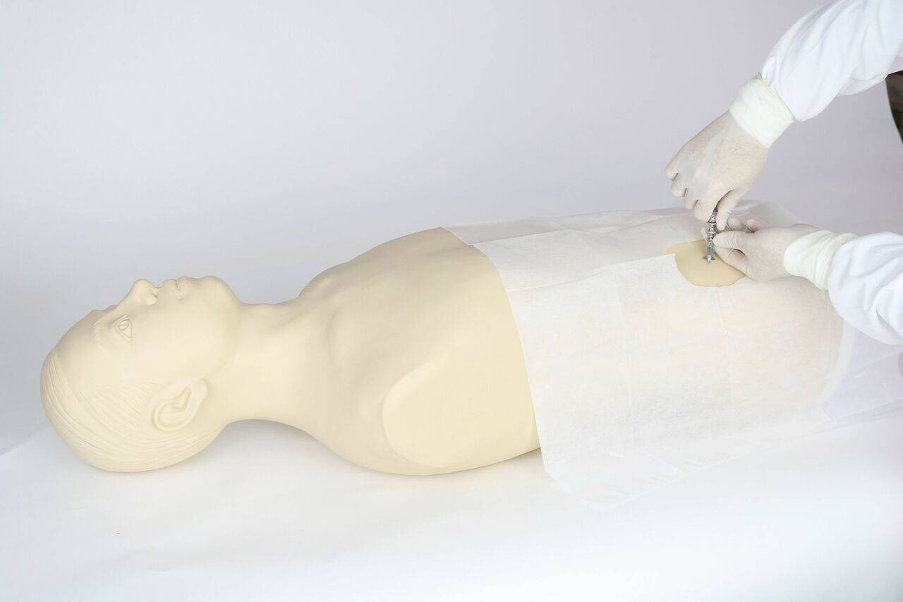 Marrow Rig Bonelab The Anatomy Lab Adult Bone Marrow Aspiration Model | A-106774 High ...