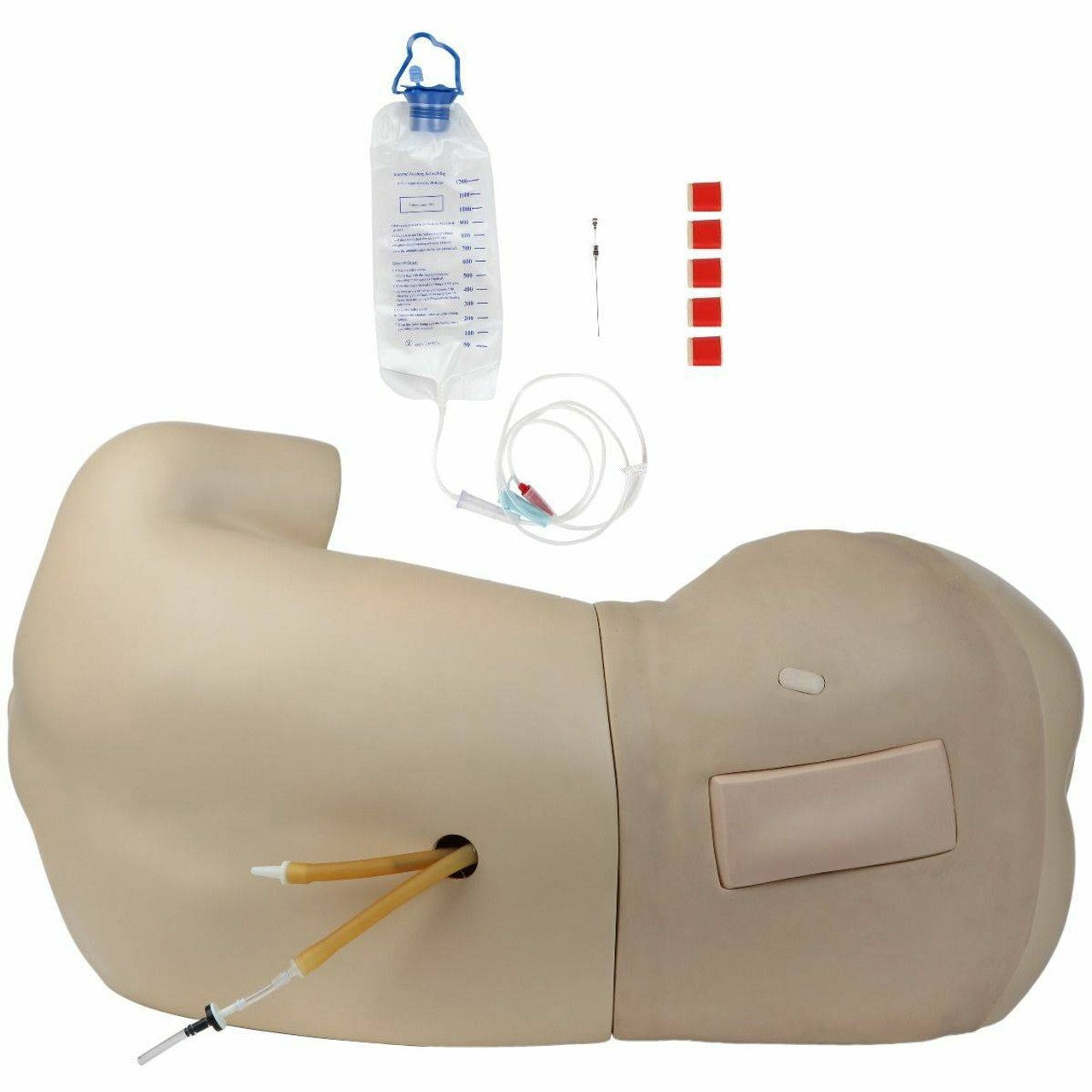 The Anatomy Lab-A-104430 Adult Lumbar Puncture Simulator
