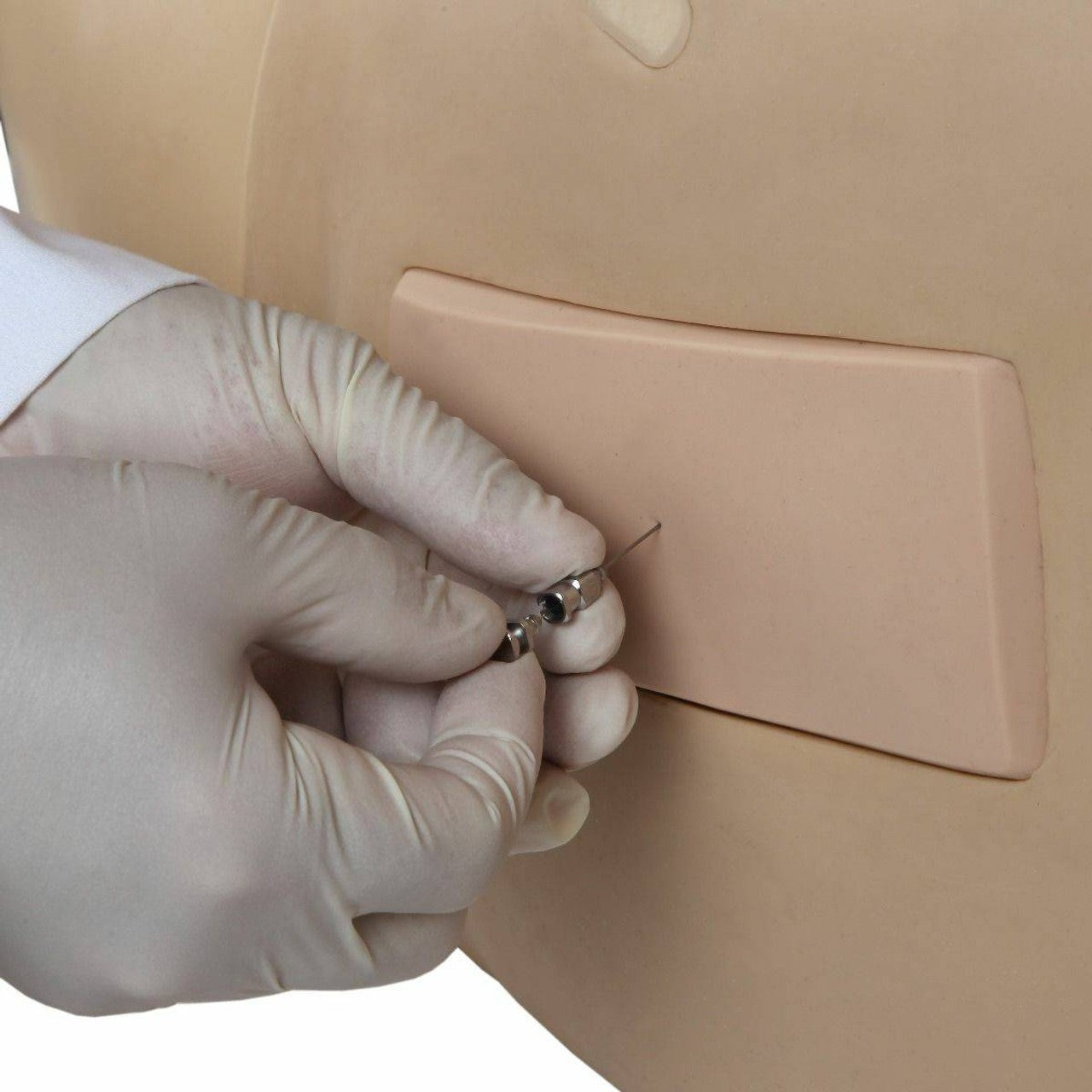 The Anatomy Lab-A-104430 Adult Lumbar Puncture Simulator