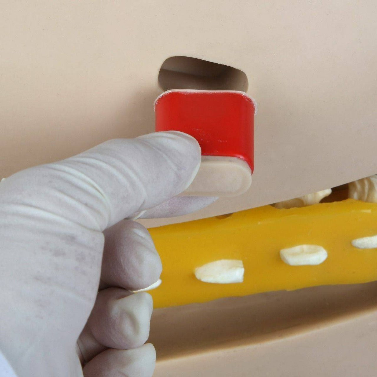 The Anatomy Lab-A-104430 Adult Lumbar Puncture Simulator