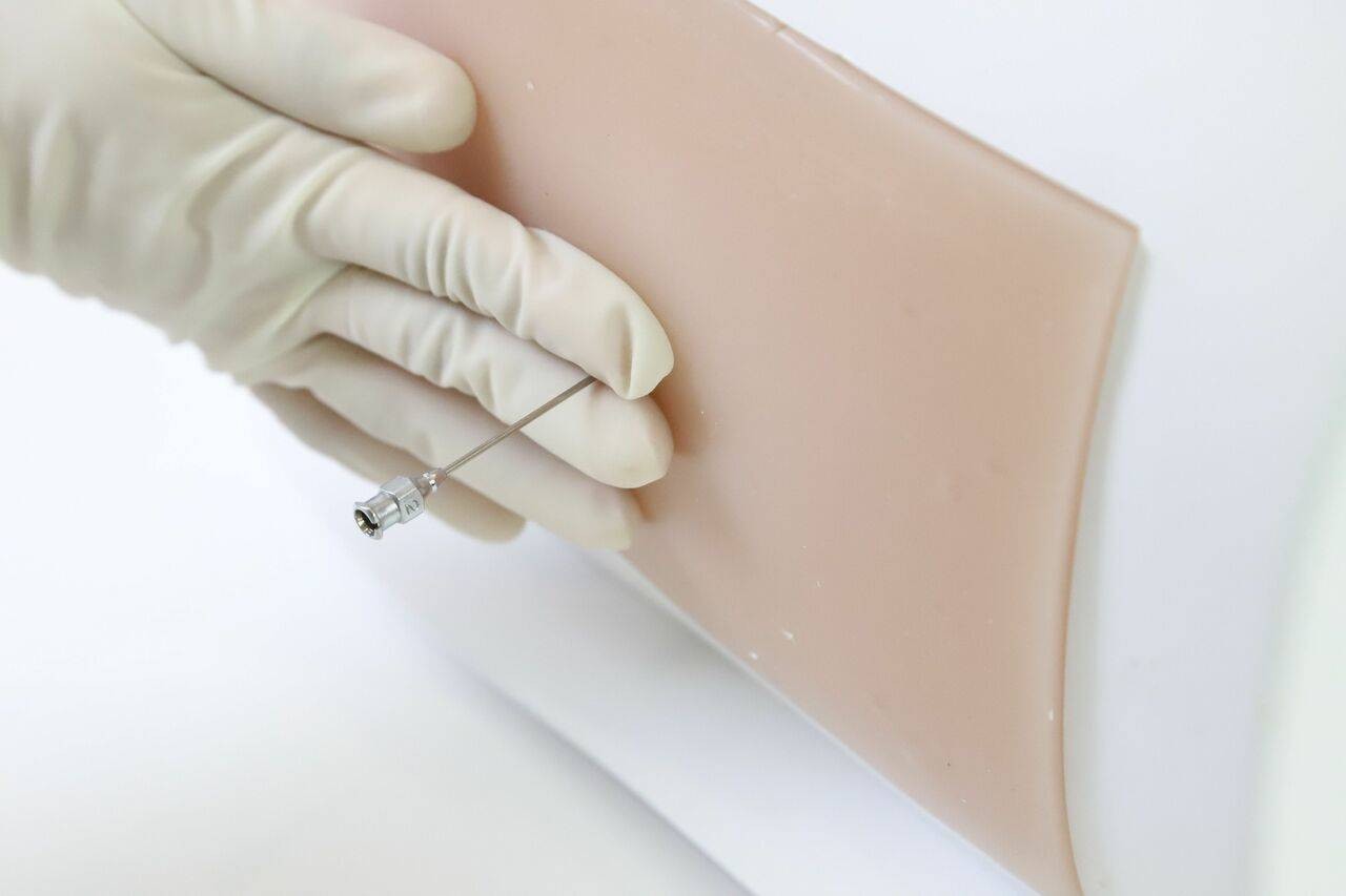 Anatomy Lab Adult & Pediatric Lumbar Puncture Training Model