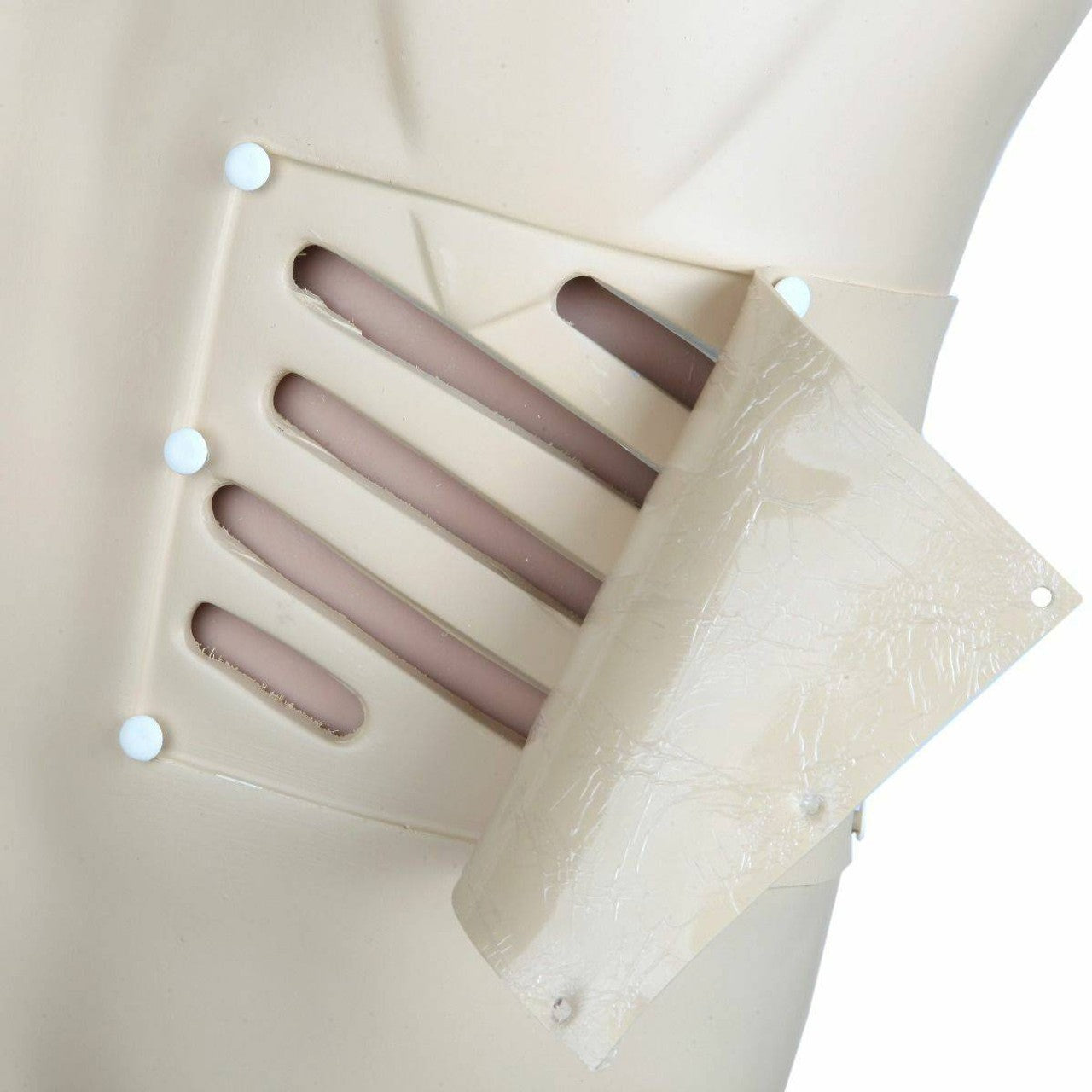 The Anatomy Lab-A-104431 Adult Thoracentesis Simulator, 1/ea