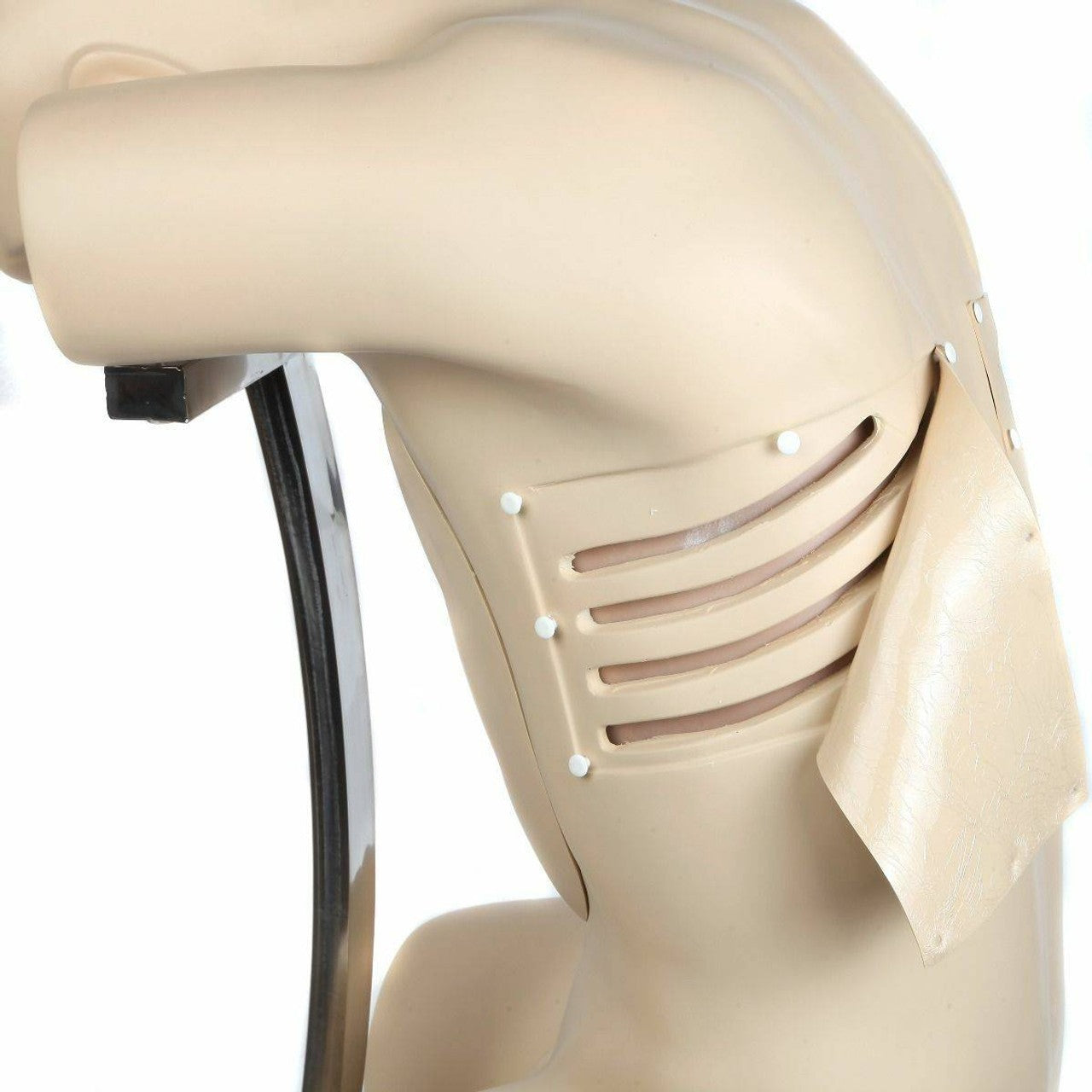 The Anatomy Lab-A-104431 Adult Thoracentesis Simulator, 1/ea