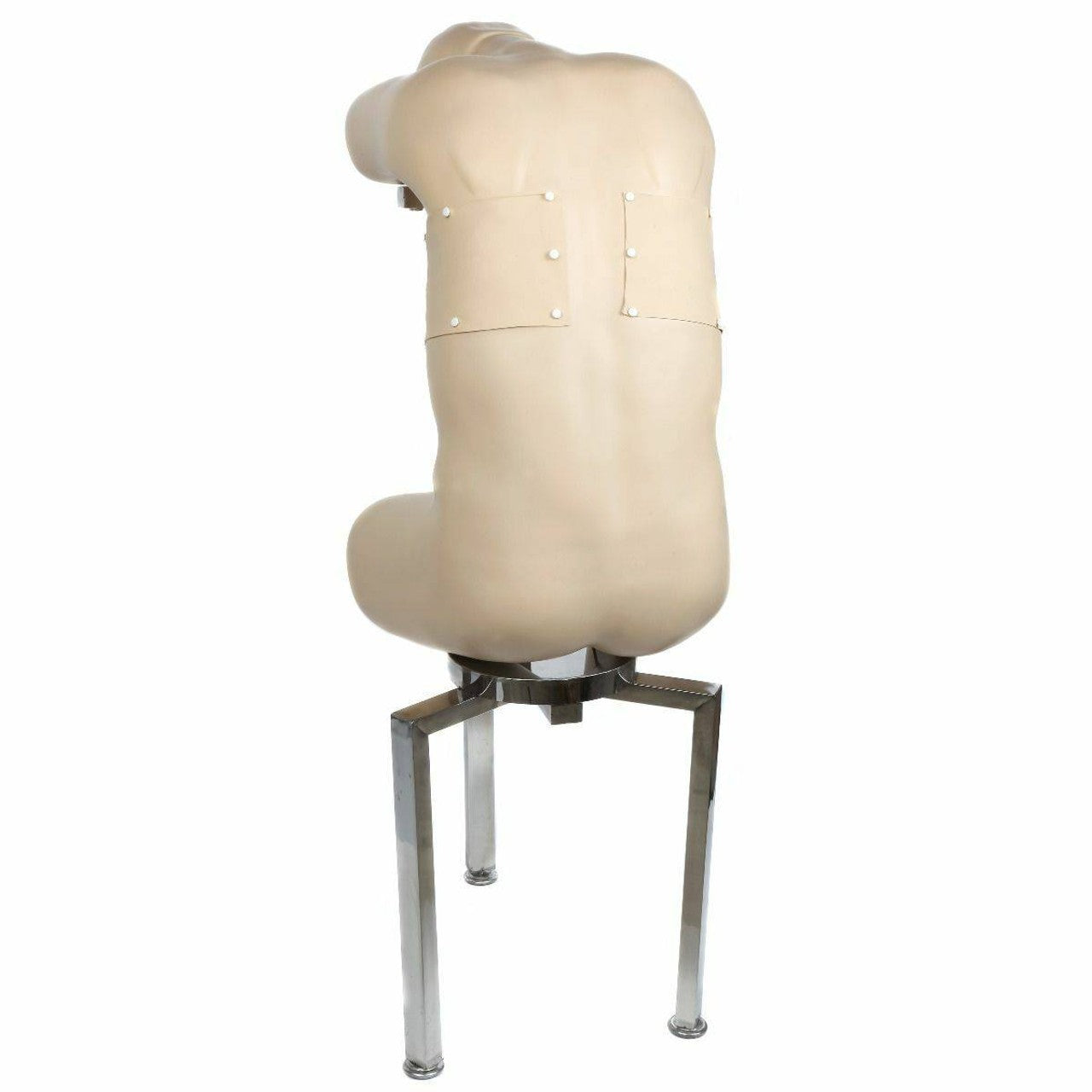 The Anatomy Lab-A-104431 Adult Thoracentesis Simulator, 1/ea