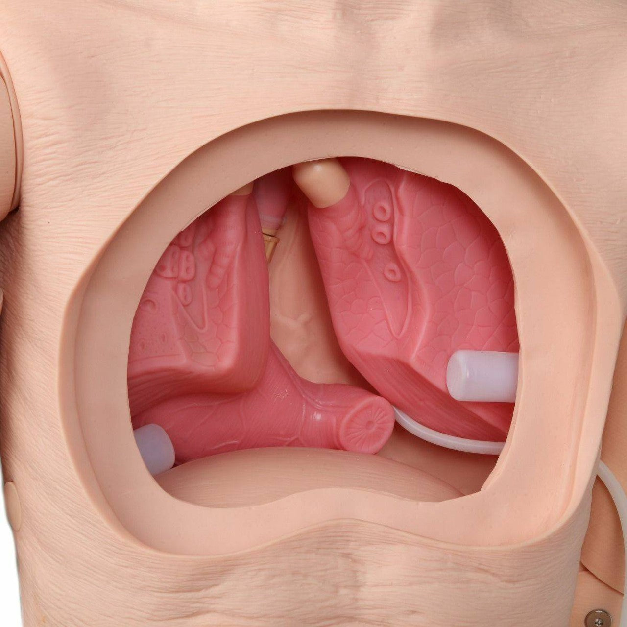 Anatomy Lab Advanced Full-body Geriatric Nursing Manikin