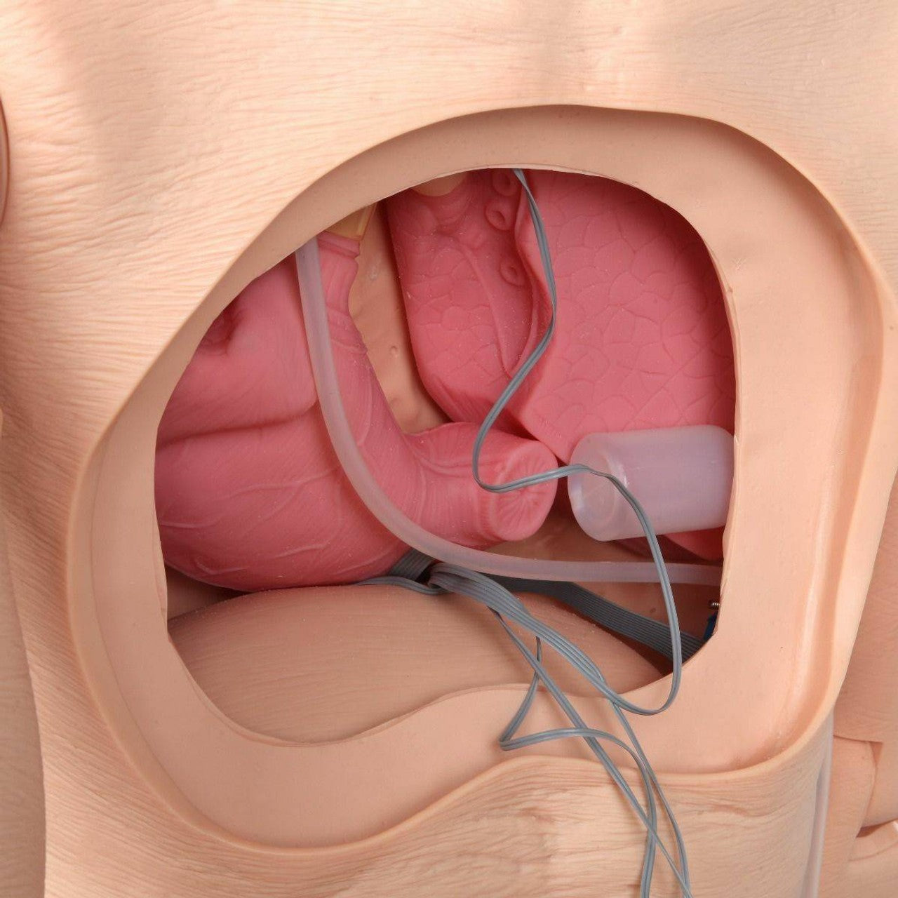 Anatomy Lab Advanced Full-body Geriatric Nursing Manikin