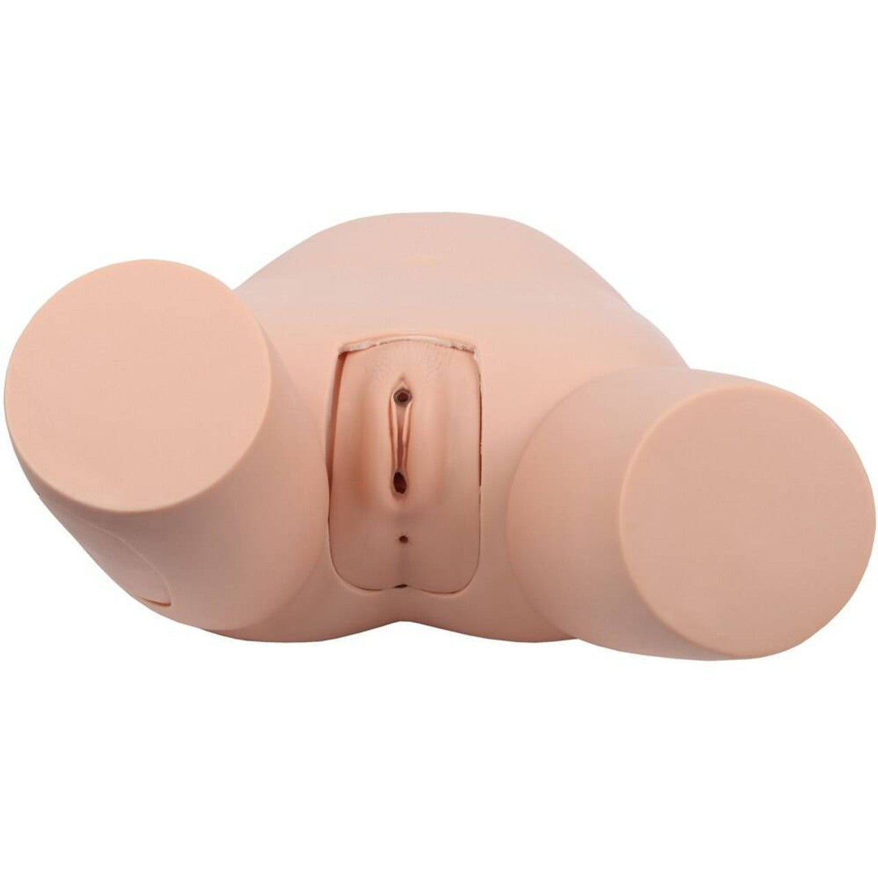 The Anatomy Lab-A-106803 Advanced Fundus Assessment Skills Trainer, 1/ea