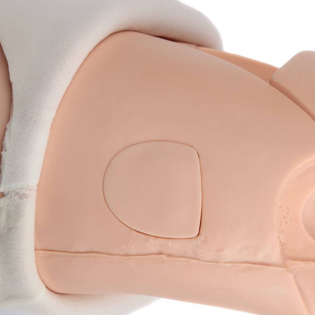 The Anatomy Lab-A-106803 Advanced Fundus Assessment Skills Trainer, 1/ea