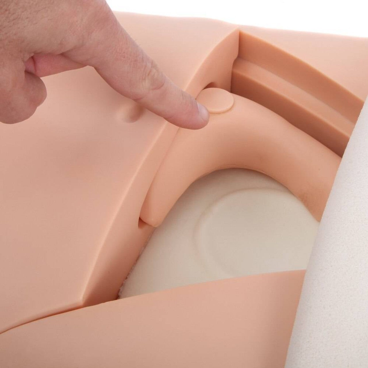 The Anatomy Lab-A-106803 Advanced Fundus Assessment Skills Trainer, 1/ea