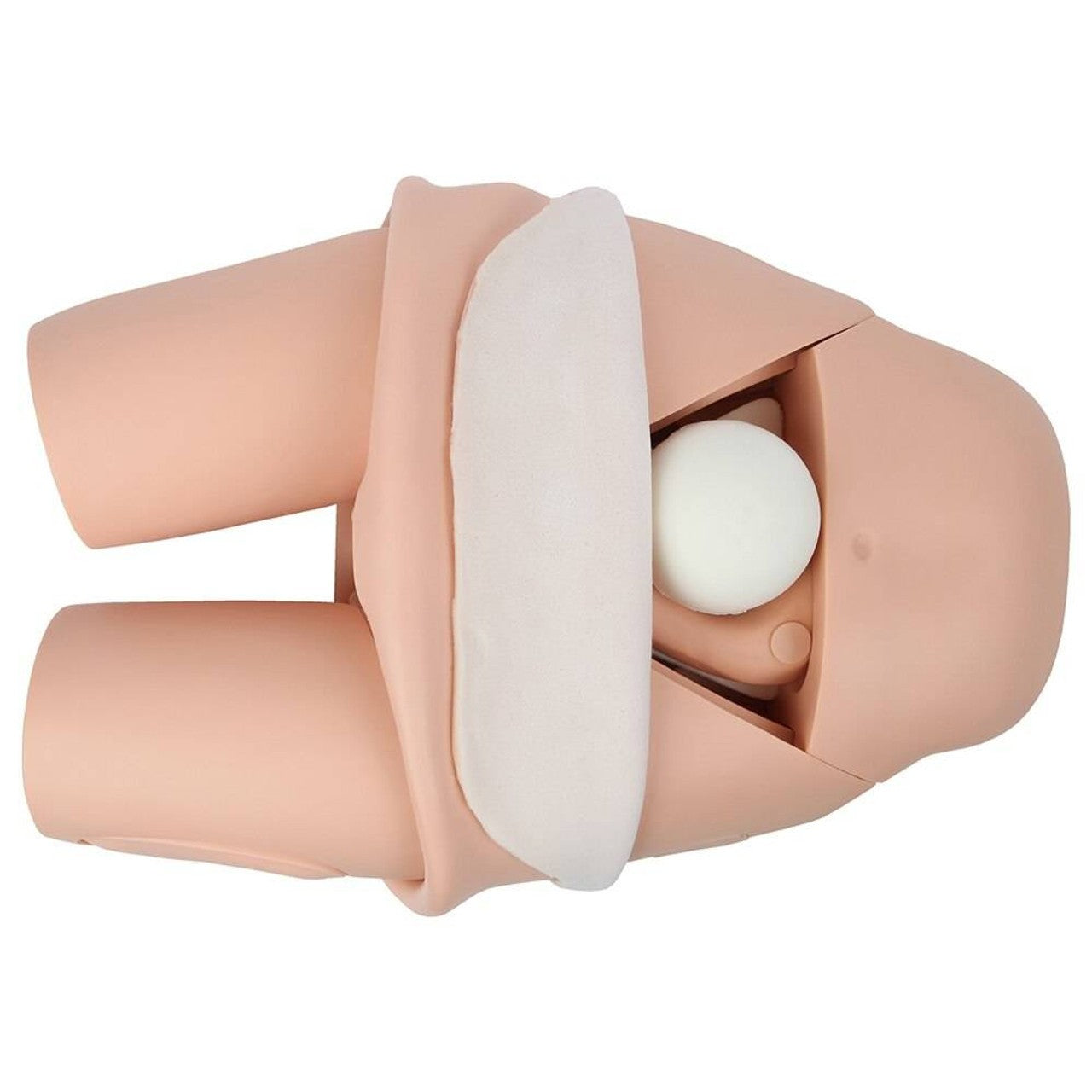 The Anatomy Lab-A-106803 Advanced Fundus Assessment Skills Trainer, 1/ea