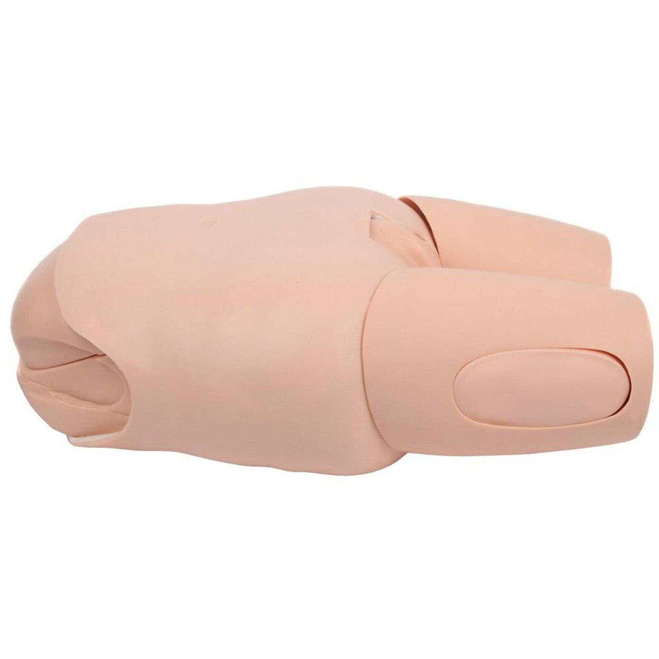 The Anatomy Lab-A-106803 Advanced Fundus Assessment Skills Trainer, 1/ea