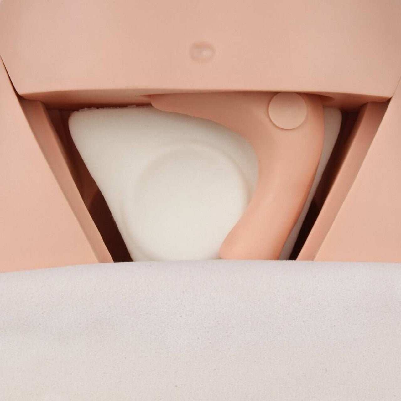 The Anatomy Lab-A-106803 Advanced Fundus Assessment Skills Trainer, 1/ea