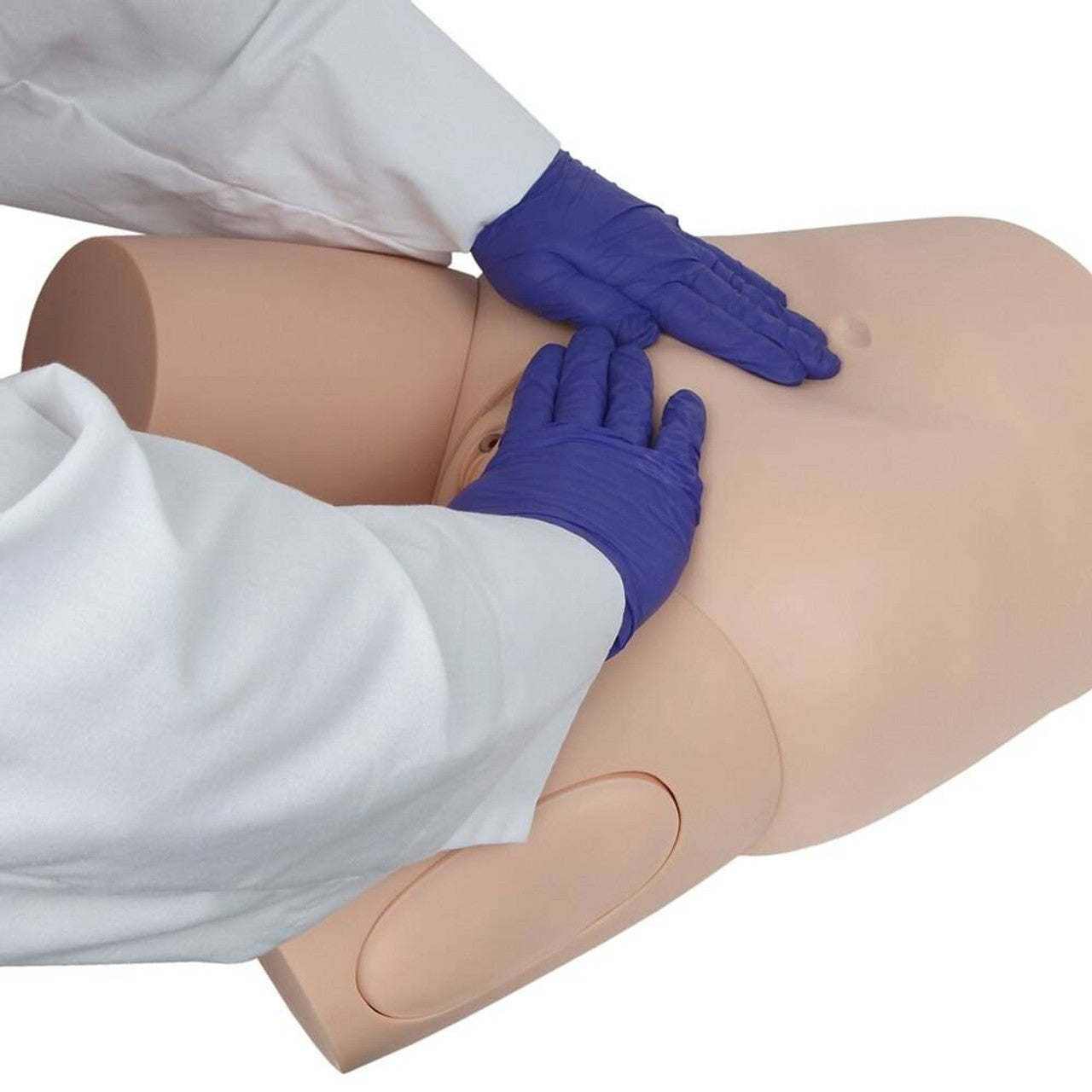 The Anatomy Lab-A-106803 Advanced Fundus Assessment Skills Trainer, 1/ea