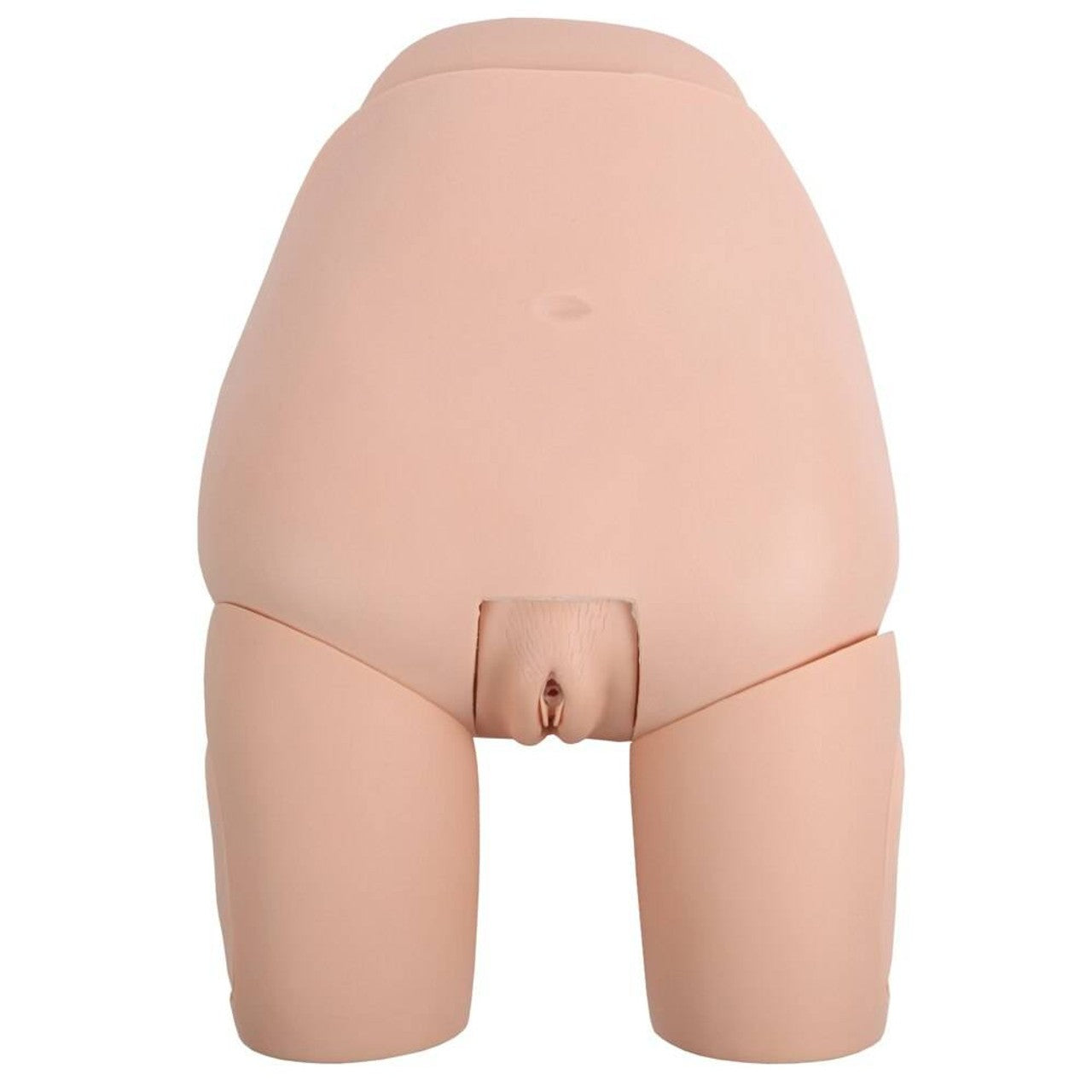 The Anatomy Lab-A-106803 Advanced Fundus Assessment Skills Trainer, 1/ea