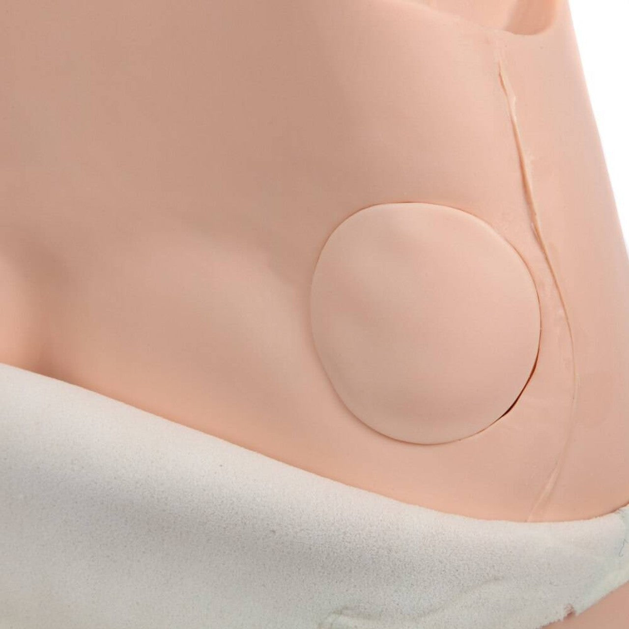 The Anatomy Lab-A-106803 Advanced Fundus Assessment Skills Trainer, 1/ea