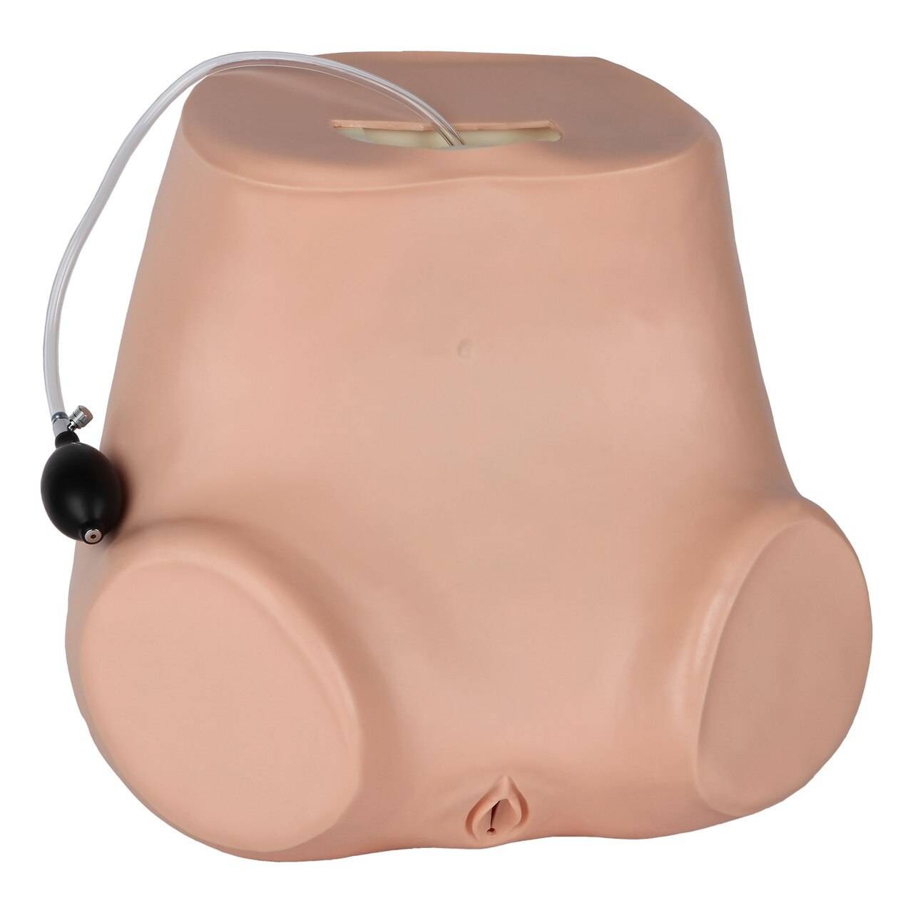 The Anatomy Lab-A-106801 Advanced Gynecological Examination Simulator, 1/ea