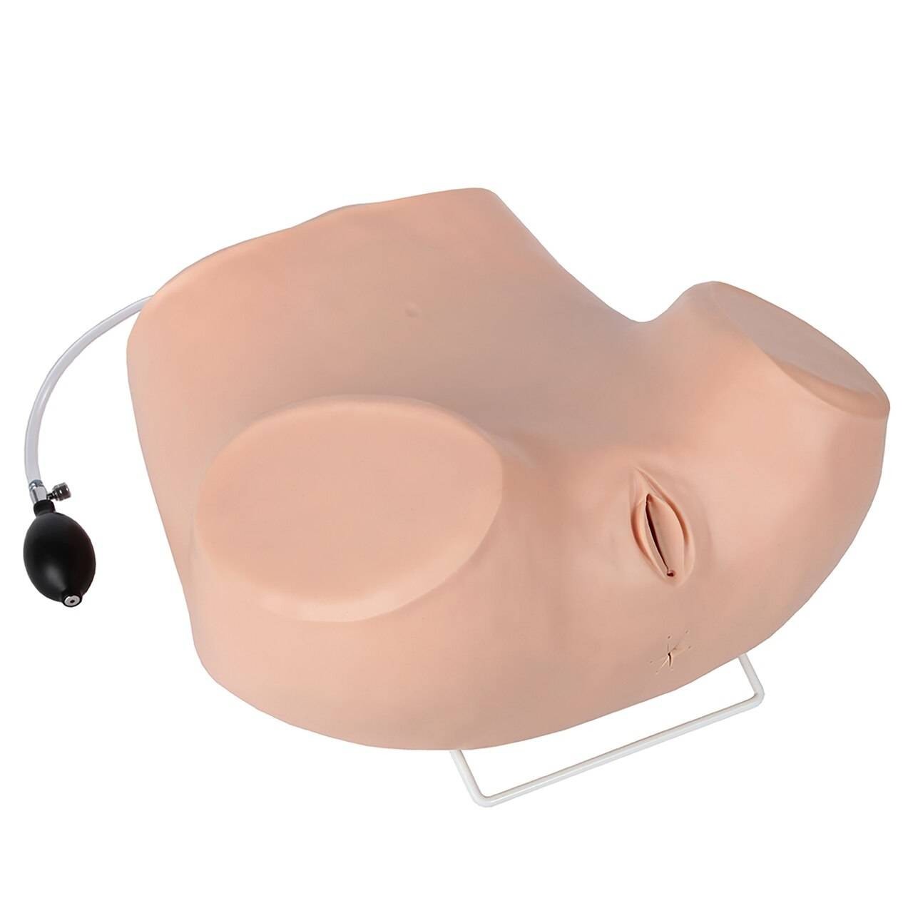 The Anatomy Lab-A-106801 Advanced Gynecological Examination Simulator, 1/ea