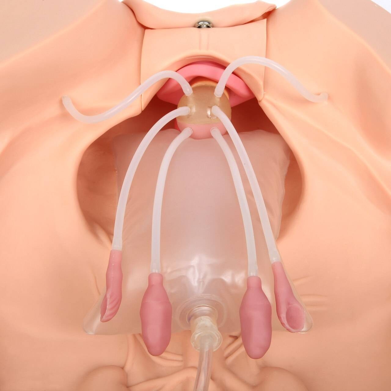 The Anatomy Lab-A-106801 Advanced Gynecological Examination Simulator, 1/ea