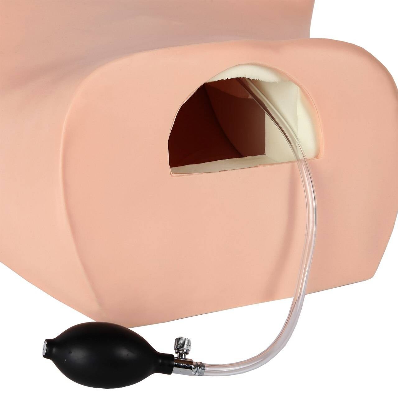 The Anatomy Lab-A-106801 Advanced Gynecological Examination Simulator, 1/ea