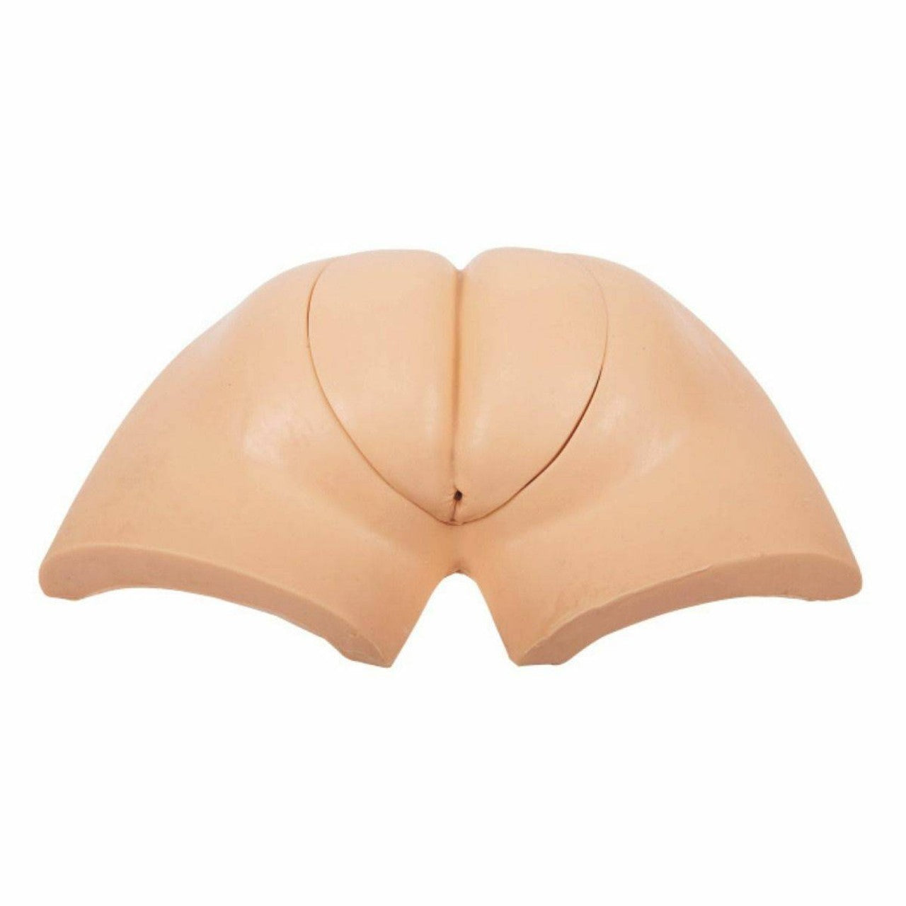 The Anatomy Lab-A-106786 Advanced Wearable Artificial Defecation Training Model, 1/ea