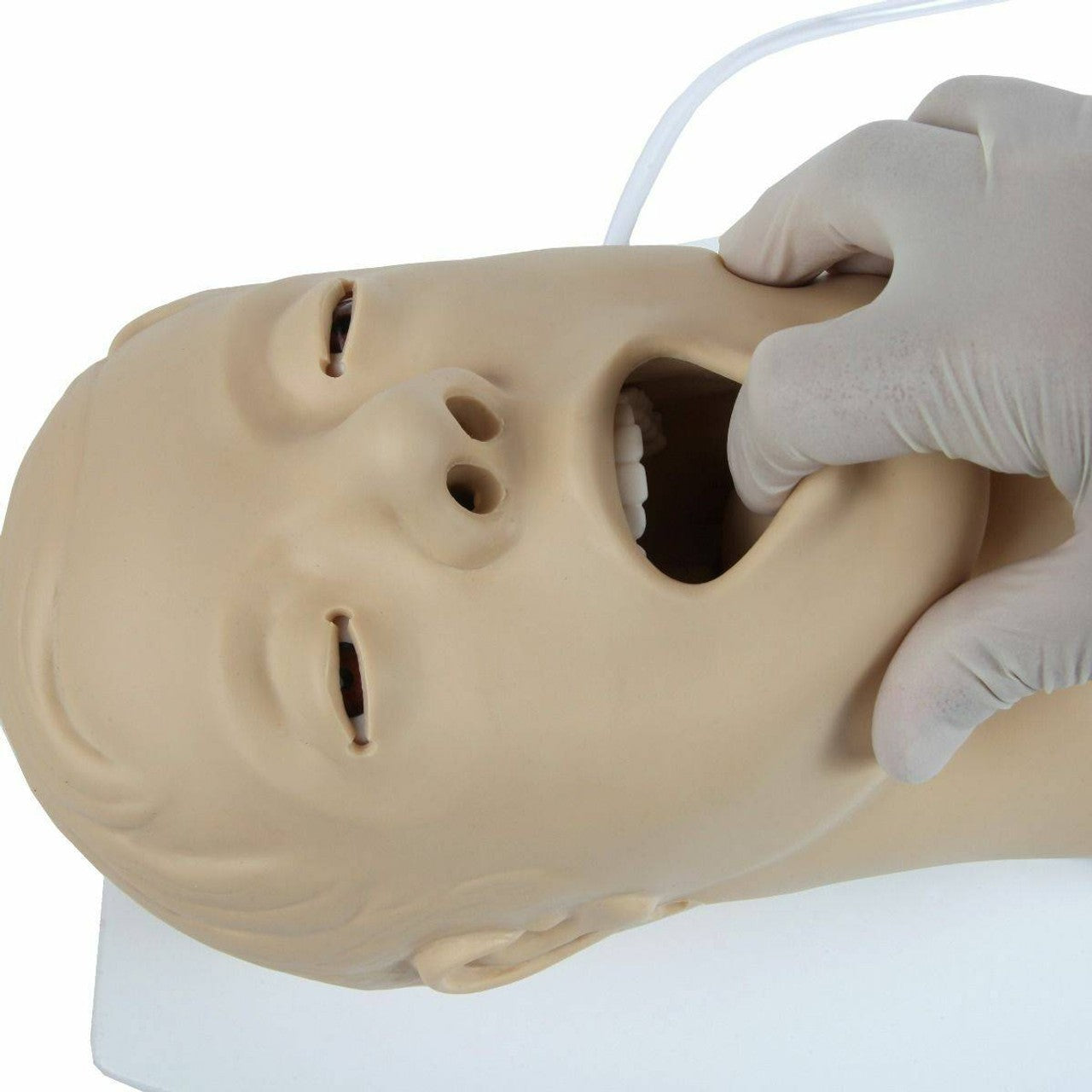 The Anatomy Lab-A-104411 Airway Management Trainer, 1/ea