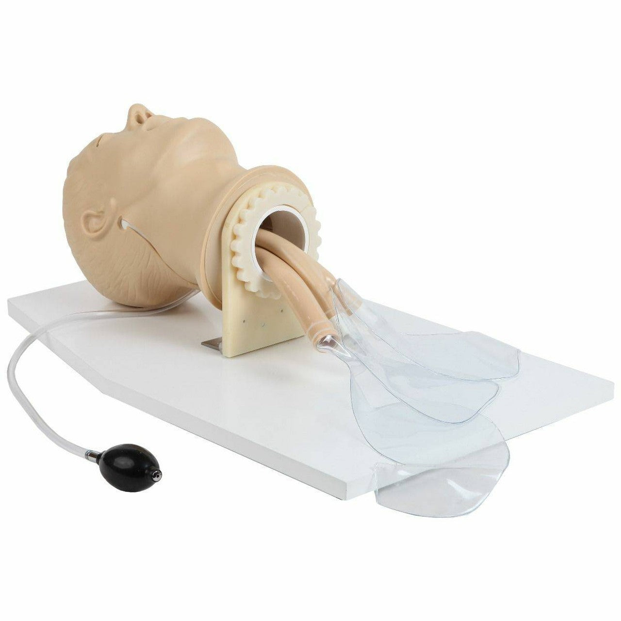 The Anatomy Lab-A-104411 Airway Management Trainer, 1/ea
