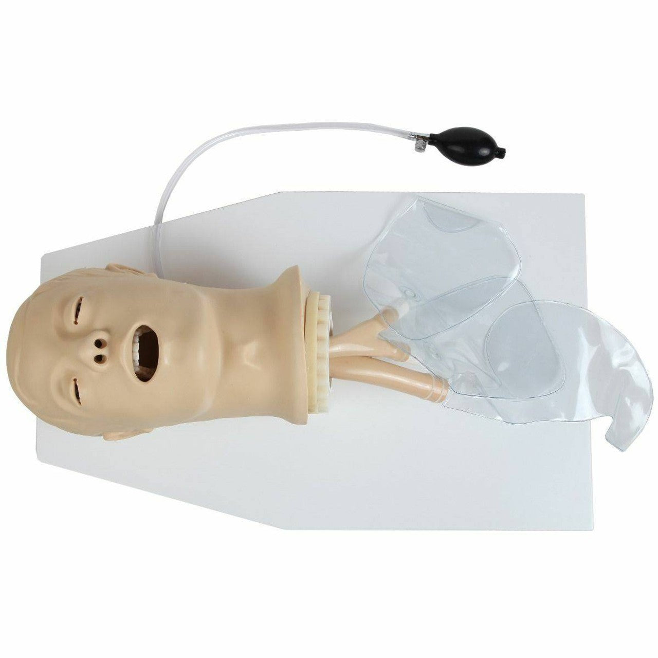 The Anatomy Lab-A-104411 Airway Management Trainer, 1/ea