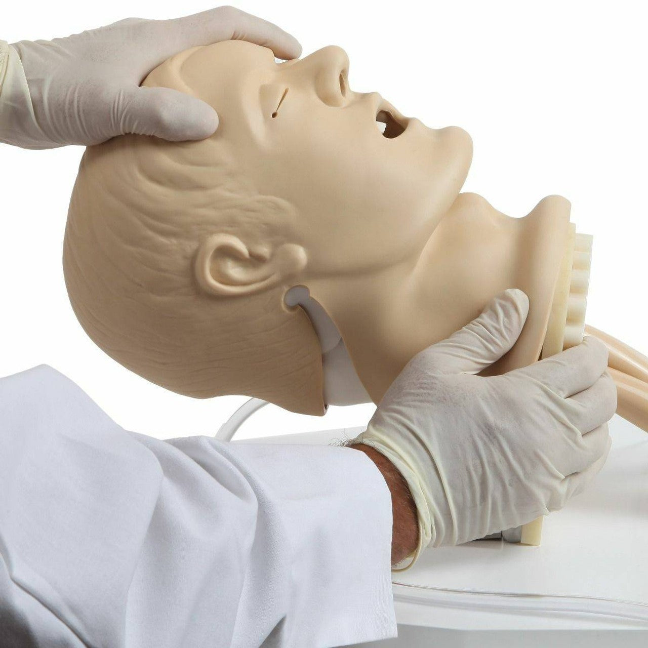 The Anatomy Lab-A-104411 Airway Management Trainer, 1/ea