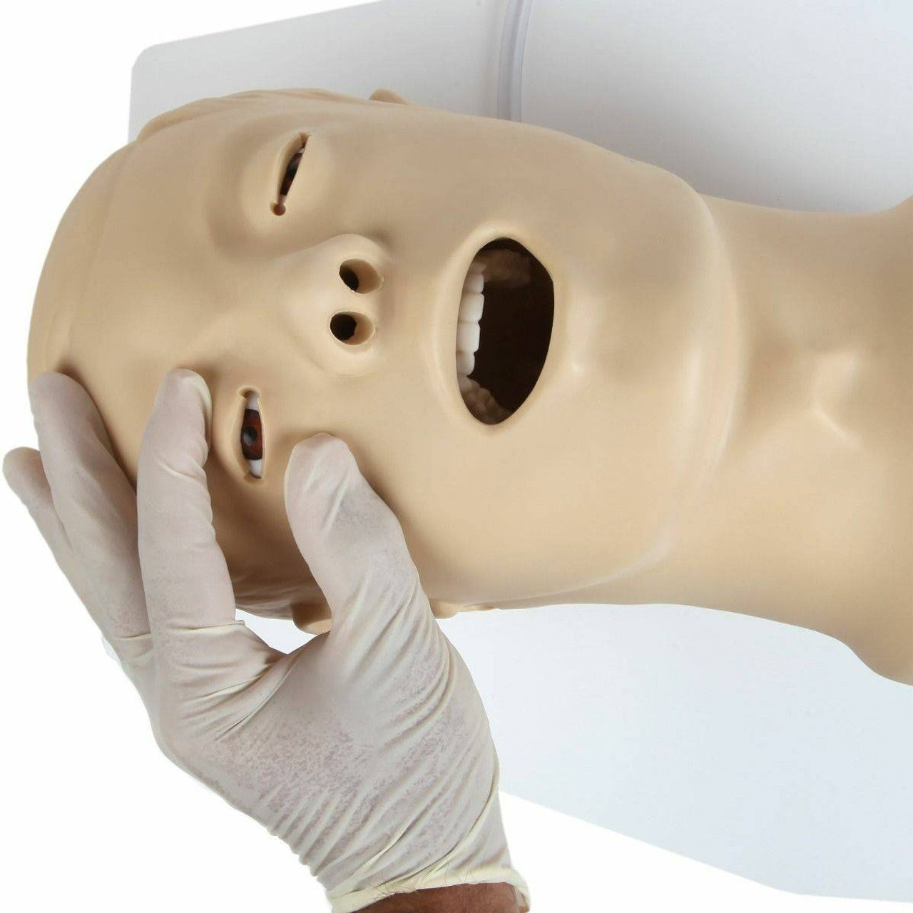 The Anatomy Lab-A-104411 Airway Management Trainer, 1/ea
