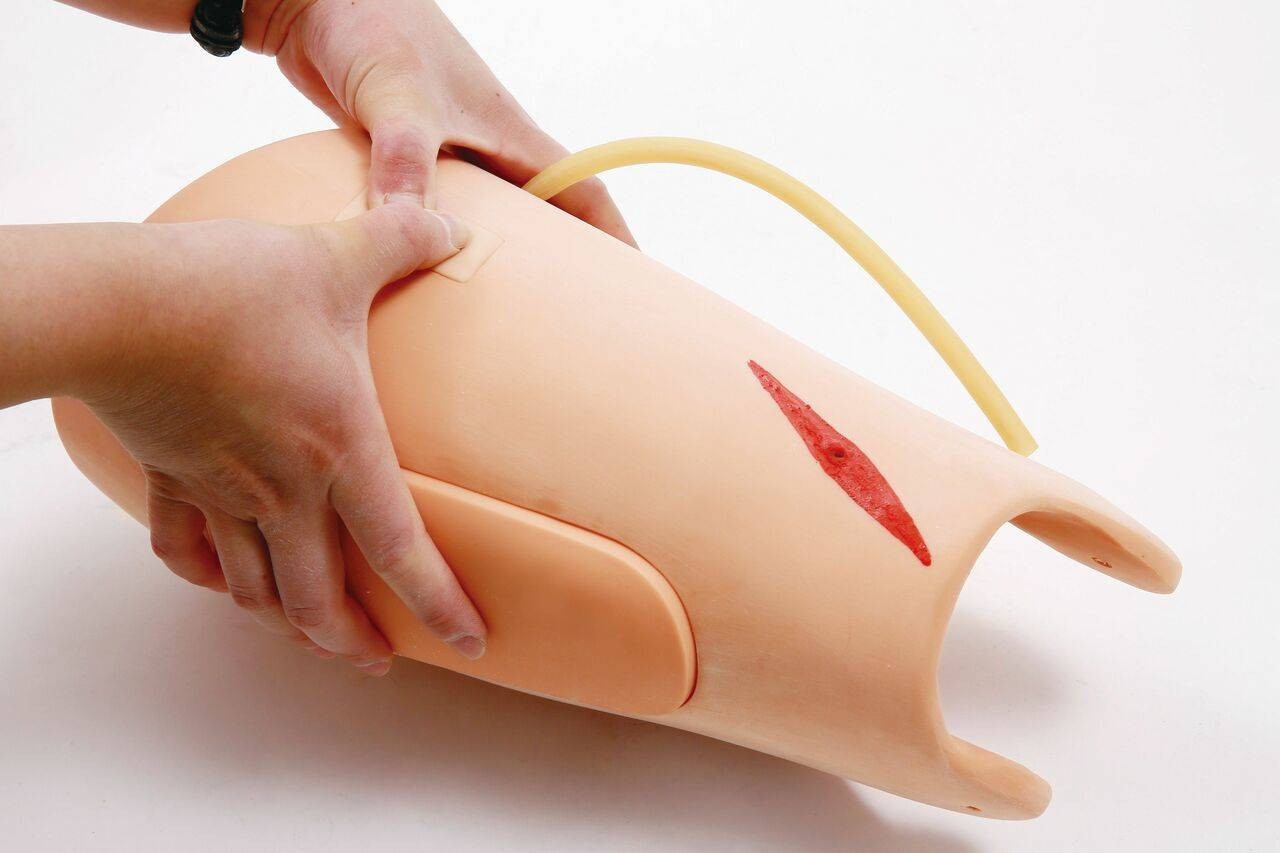 The Anatomy Lab-A-106713 Amputated and Trauma Bleeding Leg
