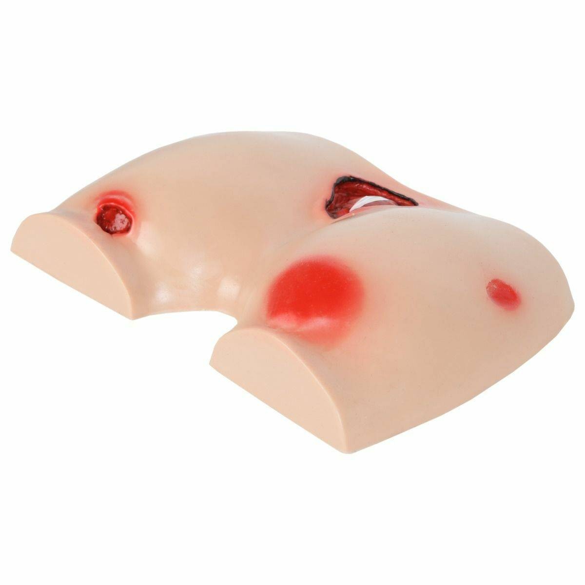 The Anatomy Lab-A-104438 Bedsore Cleansing and Dressing Model